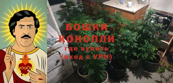 стаф Алагир