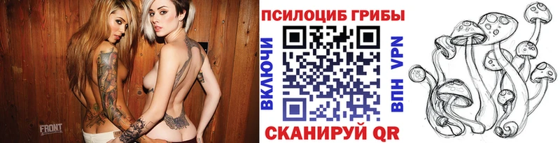 mega зеркало  Карабаново  Псилоцибиновые грибы Magic Shrooms 